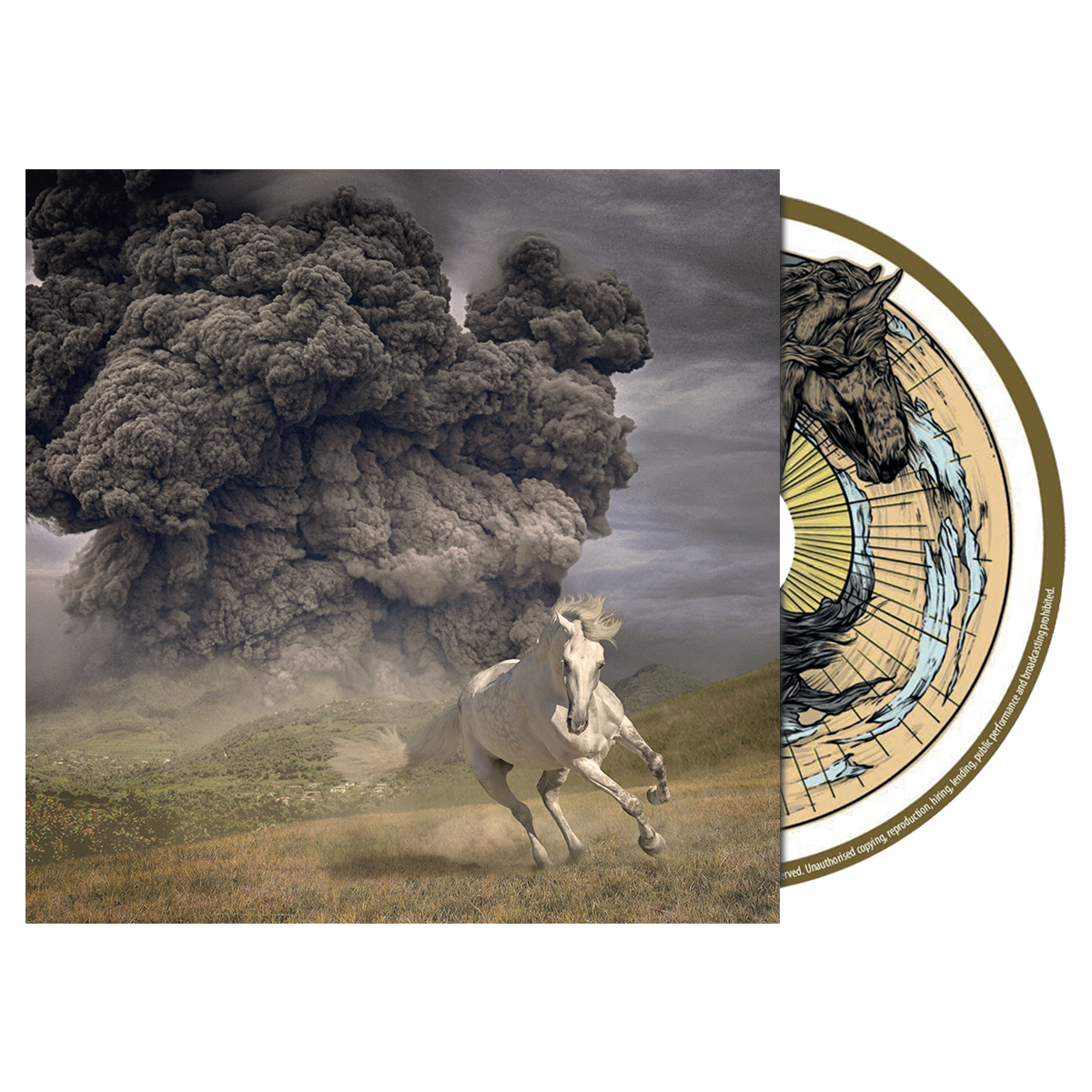 Year Of The Dark Horse - CD